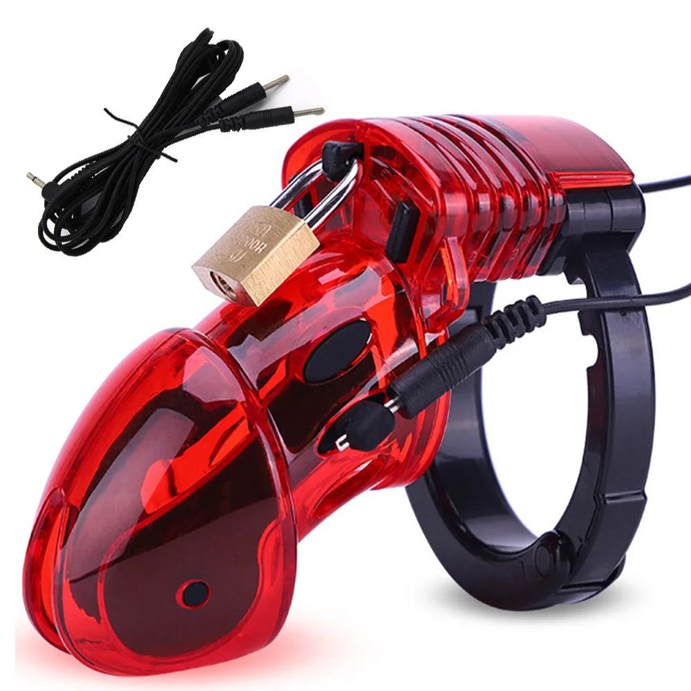 Electric Stimulator