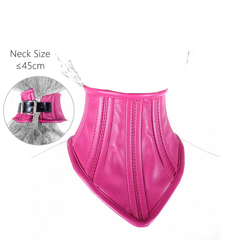 Wet Look Collar Mask